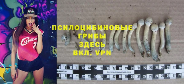 бошки Абинск