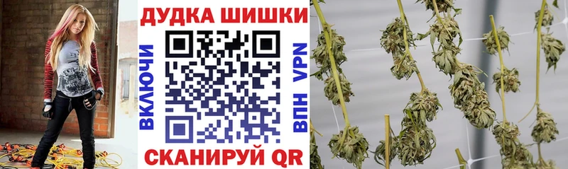 Бошки Шишки конопля  Туран 
